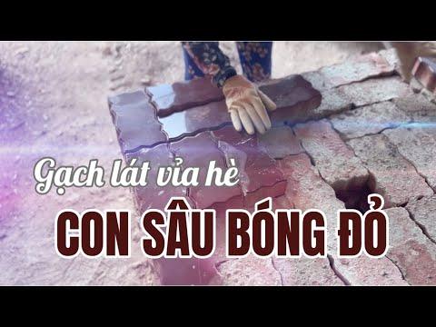 Gạch Lát Vỉa Hè Con Sâu Bóng Màu đỏ | Gạch Block Vỉa Hè Con Sâu Bóng đỏ | Gạch Vỉa Hè Hưng Yên