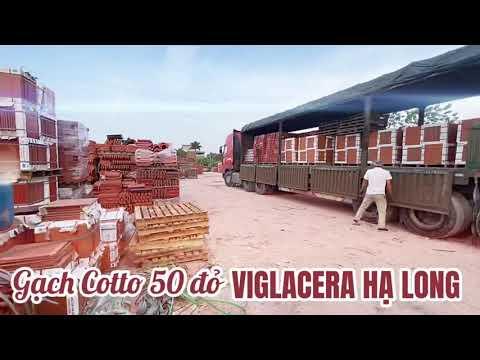 Gạch 50 đỏ Cotto Viglacera Hạ Long (Giếng Đáy) Tại Kho Hàng Công Ty TNHH Đức Thắng
