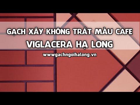 Gạch Xây Không Trát Viglacera Hạ Long Màu Cafe | Gạch Ngói Hạ Long | Www.gachngoihalong.vn