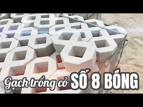 Gạch Trồng Cỏ Số 8 Bóng, Gạch Lát Sân Vườn Số 8 Bóng | Gạch Trồng Cỏ Số 8 Hưng Yên | Gạch Lát Vỉa Hè