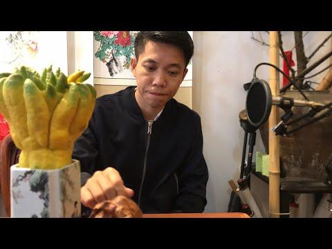 Cô Hàng Xóm & Lãng Quên Chiều Thu