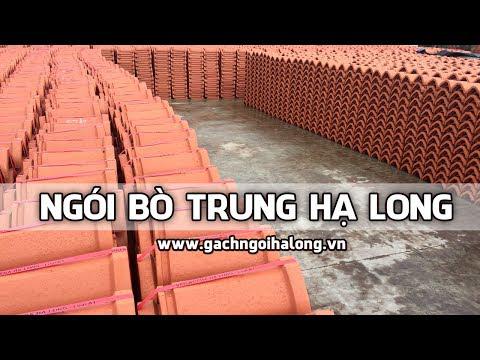 Ngói Bò Trung Hạ Long | Nóc Trung Hạ Long | Gạch Ngói Hạ Long | Www.gachngoihalong.vn