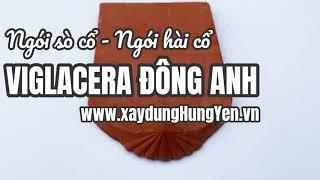 Ngói hài cổ - ngói sò cổ Viglacera Đông Anh | Phân phối bởi cty Đức Thắng - Hưng Yên, 0221.3 862 259