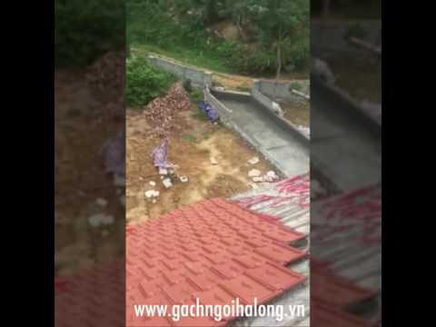 Biệt Thự Hoà Bình Sử Dụng Ngói Hạ Long | Gạch Ngói Hạ Long | Gachngoihalong.vn
