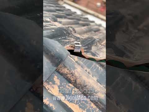 Ngày 13 Tháng 11, 2022