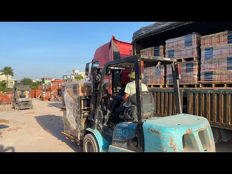 Nhập Hàng Ngói Viglacera Thăng Long S6