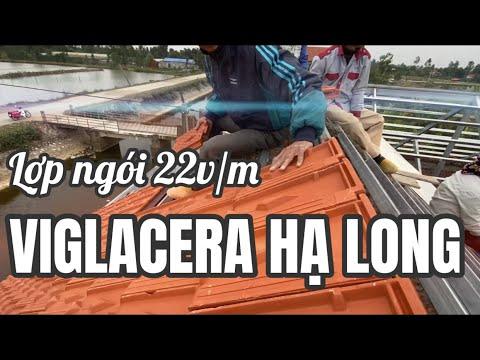 Lợp Ngói 22v/m Viglacera Hạ Long (Tiêu Giao) Trên Kèo Sắt | Gạch Ngói Viglacera Hạ Long