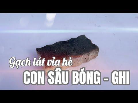 Gạch Lát Vỉa Hè Con Sâu Bóng Màu Ghi | Gạch Block Vỉa Hè Con Sâu Bóng Màu Ghi | Gạch Vỉa Hè Hưng Yên