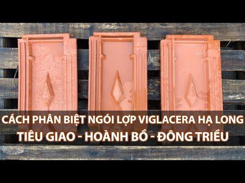 Chia Sẻ Cách Phân Biệt 3 Loại Ngói Tiêu Giao - Hoành Bồ - Đông Triều Của Viglacera Hạ Long