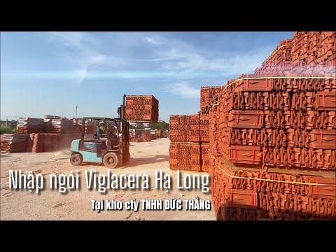 Nhập Ngói Lợp Viglacera Hạ Long 22v/m Tại Kho Hàng Cty Đức Thắng - Tp. Hưng Yên | 0221.3 862 259