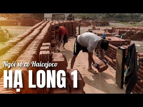 Ngói Sò Cổ Hancejoco Tại Cty TNHH Đức Thắng | Ngói Sò Cổ Dùng Cho đình, đền, Chùa | 0221.3.862 259