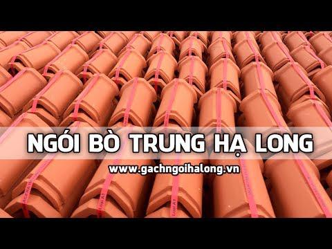 Ngói Bò Trung - Ngói Nóc Trung Viglacera Hạ Long   | Gạch Ngói Hạ Long | Www.gachngoihalong.vn