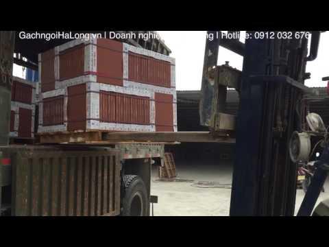 Kho Hàng Phạm Bạch Hổ | Doanh Nghiệp Đức Thắng | Gạch Ngói Hạ Long.vn