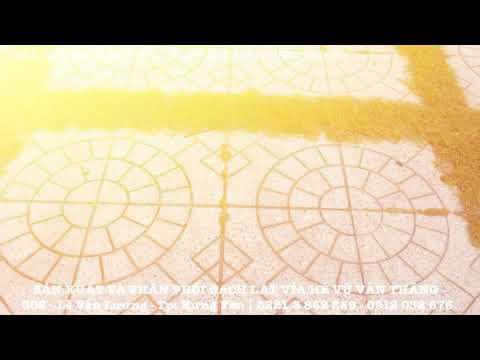 Gạch Terrazoo Rẻ Quạt Màu Ghi | Gạch Lát Vỉa Hè | Www.gachlatviahe.com.vn