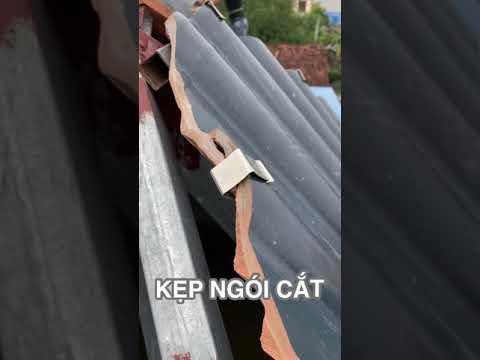 Ngày 19 Tháng 10, 2021