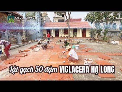 Lát Gạch 50 đậm Viglacera Hạ Long | Gạch Cotto Viglacera Hạ Long 500x500 đỏ đậm |  Viglacera Hạ Long