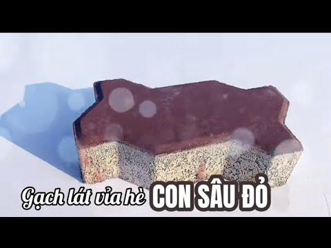 Gạch Tự Chèn Con Sâu Nhám | Gạch Lát Vỉa Hè Con Sâu Sần | Gạch Block Tự Chèn Tại Hưng Yên