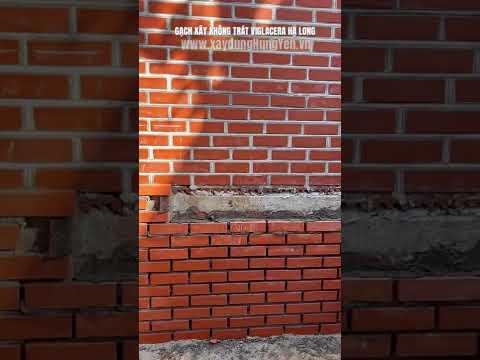 Gạch Xây Không Trát Viglacera Hạ Long - Tường Gạch Không Trát 3 Lỗ